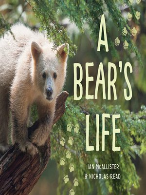 cover image of A Bear's Life